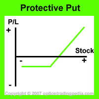 Protective Puts Risk Graph