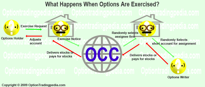 Process when you exercise an option