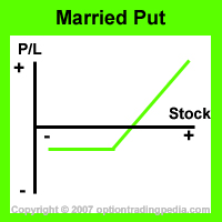 Married Put Risk Graph