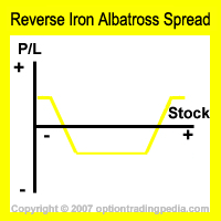 Reverse Iron Albatross Spread Risk Graph